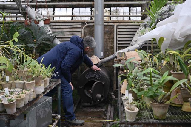 Doctor of Biological Sciences Roman Ivannikov, Head of the Department of Tropical and Subtropical Plants of the Gryshko National Botanical Garden of the National Academy of Sciences of Ukraine, checks a wooden stove in the garden's greenhouse in Kyiv on February 11, 2026, amid the Russian invasion of Ukraine. Roman Ivannikov has spent around 30 years pampering orchids, azaleas and figs at Ukraine's National Botanical Garden but power cuts triggered by Russian strikes have put his cherished plants in mortal danger. The almost-daily barrages paired with the cold snap have put lives at risk and created an unprecedented threat for Ivannikov's pride and joy: a collection of almost 4,000 tropical species. (Photo by Genya SAVILOV / AFP)