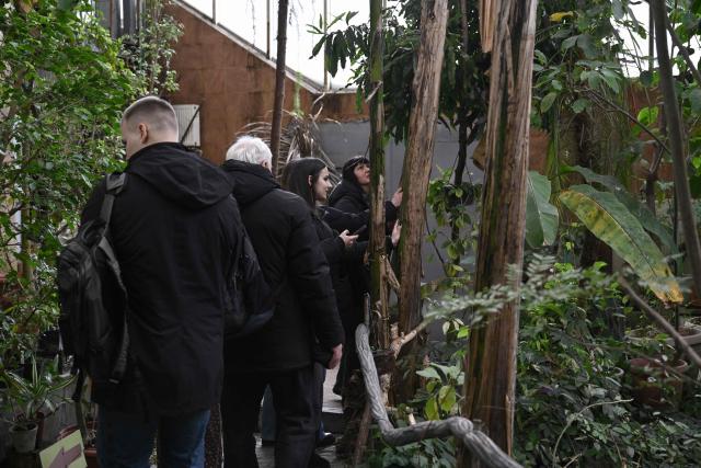 Visitors walk in the main greenhouse of the Gryshko National Botanical Garden of the National Academy of Sciences of Ukraine in Kyiv on February 11, 2026, amid the Russian invasion of Ukraine. Roman Ivannikov has spent around 30 years pampering orchids, azaleas and figs at Ukraine's National Botanical Garden but power cuts triggered by Russian strikes have put his cherished plants in mortal danger. The almost-daily barrages paired with the cold snap have put lives at risk and created an unprecedented threat for Ivannikov's pride and joy: a collection of almost 4,000 tropical species. (Photo by Genya SAVILOV / AFP)