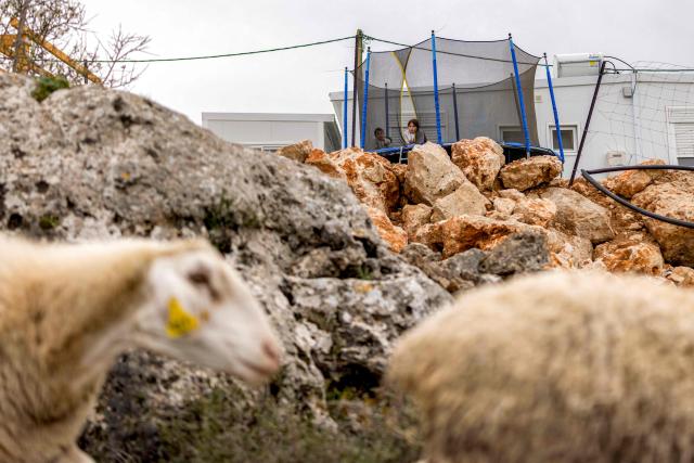 Children sit in a trampoline near a flock of sheep belonging to an Israeli settler grazing outside the Palestinian village of Battir in the Israeli-occupied West Bank on February 12, 2026. (Photo by ilia YEFIMOVICH / AFP)