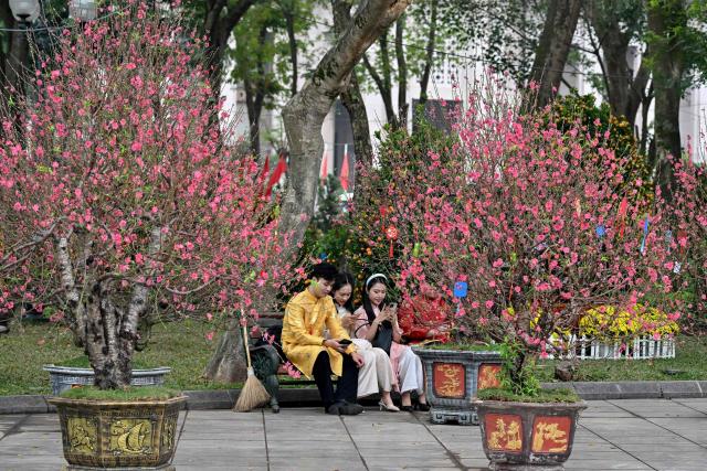 Visitors sit amongst decorative peach blossom trees ahead of the Lunar New Year in Hanoi on February 13, 2026. (Photo by Nhac NGUYEN / AFP)