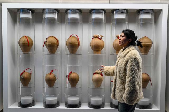 In this photo taken on January 21, 2026, n employee explains firecrackers at the Zhongzhou Fireworks Group in Liuyang town, Changsha, central China's Hunan province. A fiery crack of red and gold explodes above a village in southern China's Liuyang, where residents are accustomed to ear-splitting fireworks tests year-round in the country's pyrotechnics production hub. (Photo by Adek BERRY / AFP) / To go with 'CHINA-ECONOMY-FIREWORKS'