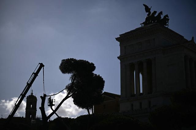 A worker cuts a pine tree along the Imperial Forum avenue in Rome on February 13, 2026. Tree surgeons cut down historic pines near Rome's Colosseum on February 13, 2026, a fortnight after three people were hurt when a massive tree fell near the Imperial Forum. The Italian capital's umbrella pines are as much a part of the landscape as the ruins and cobbled streets, and residents are fiercely attached to them. (Photo by Filippo MONTEFORTE / AFP)