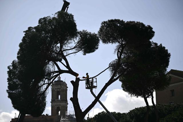 TOPSHOT - A worker cuts a pine tree along the Imperial Forum avenue in Rome on February 13, 2026. Tree surgeons cut down historic pines near Rome's Colosseum on February 13, 2026, a fortnight after three people were hurt when a massive tree fell near the Imperial Forum. The Italian capital's umbrella pines are as much a part of the landscape as the ruins and cobbled streets, and residents are fiercely attached to them. (Photo by Filippo MONTEFORTE / AFP)