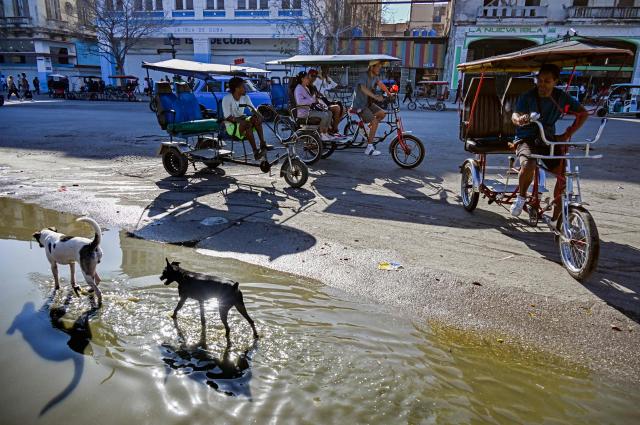 Several bicycle taxis ride on a street in Havana on February 13, 2026. The fuel crisis in Cuba, and particularly in Havana, is forcing many workers who depend on daily mobility to abandon gasoline cars and turn to electric tricycles and bicycle taxis as more accessible alternatives. (Photo by YAMIL LAGE / AFP)