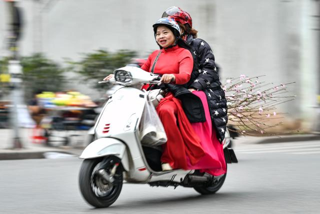A woman transports a peach blossom branch as she drives her motorbike ahead of the Lunar New Year in Hanoi on February 13, 2026. (Photo by Amaury PAUL / AFP)