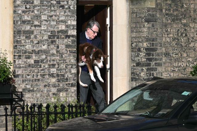 Former UK ambassador to the United States, Peter Mandelson leaves through his front door carrying a large dog, in central London on February 14, 2026.  (Photo by JUSTIN TALLIS / AFP)