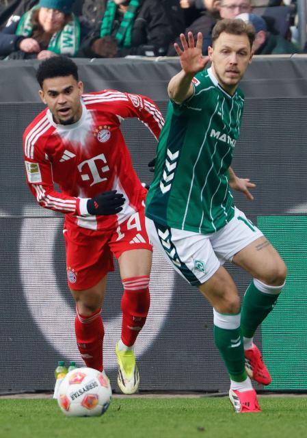 Bayern Munich's Colombian forward #14 Luis Diaz (L) and Bremen's Belgian midfielder #14 Senne Lynen vie for the ball during the German first division Bundesliga football match between SV Werder Bremen and FC Bayern Munich in Bremen, northern Germany February 14, 2026 (Photo by Focke Strangmann / AFP) / DFL REGULATIONS PROHIBIT ANY USE OF PHOTOGRAPHS AS IMAGE SEQUENCES AND/OR QUASI-VIDEO