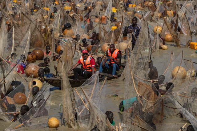 Officials of the Nigerian Red Cross monitor from a pirogue as fishermen attempt to catch fish during the Argungu Fishing and Cultural Festival in Argungu Town, Kebbi State in northwest Nigeria, on February 14, 2026. (Photo by TOYIN ADEDOKUN / AFP)