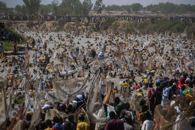 TOPSHOT - Fishermen attempt to catch fish in the Mata Fada river during the Argungu Fishing and Cultural Festival in Argungu Town, Kebbi State in northwest Nigeria, on February 14, 2026. (Photo by TOYIN ADEDOKUN / AFP)