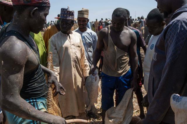 A fisherman holds a fish caught during the Argungu Fishing and Cultural Festival in Argungu Town, Kebbi State in northwest Nigeria, on February 14, 2026. (Photo by TOYIN ADEDOKUN / AFP)