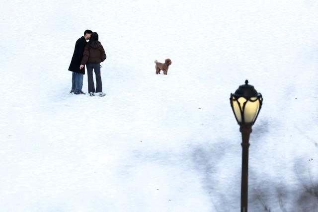 Guest A couple kisses in Central Park on Valentine’s day in New York on February 14, 2026. (Photo by Charly TRIBALLEAU / AFP)