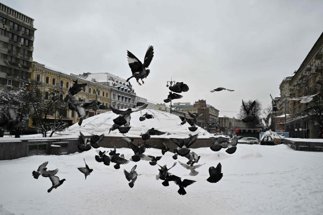 Pigeons fly over a snow-covered central Kyiv following overnight snowfall on February 16, 2026, amid the Russian invasion of Ukraine. (Photo by Genya SAVILOV / AFP)