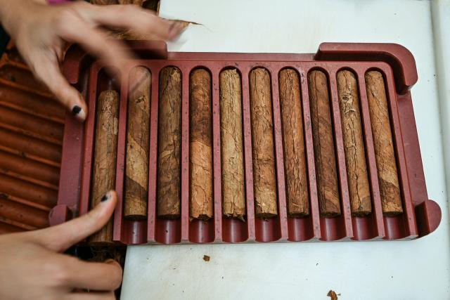 (FILES) A Worker rolls cigars at cigar manufacturer El Laguito on February 29, 2024, during the XXIV International Habano Festival in Havana. Cuba's already shattered economy is being assailed on various fronts as US President Donald Trump has vowed to bring the communist island to its knees. A blockade of oil deliveries to Cuba has forced emergency rationing, kneecapping the country's critical tourism and tobacco sectors even as remittances are under threat and income earned from sending doctors abroad has been all but cut off. (Photo by ADALBERTO ROQUE / AFP)