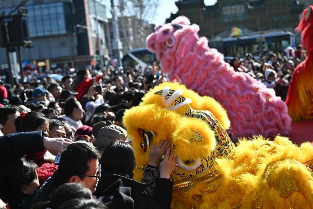 Lion dancers perform at Dongyue Temple on the first day of the Lunar New Year of the Horse in Beijing on February 17, 2026. (Photo by Pedro PARDO / AFP)