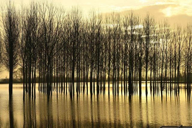 TOPSHOT - This photograph shows trees flooded by the Garonne river in La Reole, southwestern France, on February 17, 2026. The flood alert system in France has been working at a record pace as relentless rain over the past month has saturated soils, the head of the agency told AFP on February 14, 2026. "For 30 days we have been in continuous orange or red alert somewhere on the national territory," Lucie Chadourne-Facon, director of Vigicrues, told AFP, referring to the two highest alert levels. (Photo by Gaizka IROZ / AFP)