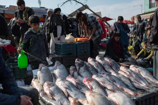 An Afghan boy sprays water over fish as he awaits customers at a market in Kabul on February 17, 2026 ahead of the Islamic holy fasting month of Ramadan. (Photo by Wakil KOHSAR / AFP)