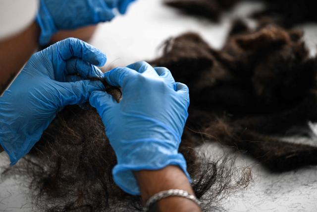 Mexican volunteers work at the Matter of Trust Foundation workshop, sorting human hair that will be used to save water and fertilize plants in a chinampa (floating garden), in Mexico City on February 11, 2026. From hairdressers' floors to the canals of Xochimilco: tonnes of human hair are used to clean the waters of this protected natural area in southern Mexico City, one of the megacity's biggest tourist attractions. ‘Hair has an adhesive quality and the ability to recover certain pollutants: oil, grease, hydrocarbons, faecal coliforms, heavy metals (...)  a myriad of pollutants,’ Mattia Carenini, director of the environmental organisation Matter of Trust, told AFP. (Photo by Yuri CORTEZ / AFP)
