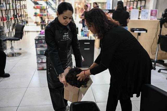 Employees of a beauty salon collect hair cut from clients to be delivered to representatives of the Matter of Trust Latam Foundation, who process the collected hair to be used to save water and fertilize plants in a chinampa (floating garden), in Mexico City on February 11, 2026. From hairdressers' floors to the canals of Xochimilco: tonnes of human hair are used to clean the waters of this protected natural area in southern Mexico City, one of the megacity's biggest tourist attractions. ‘Hair has an adhesive quality and the ability to recover certain pollutants: oil, grease, hydrocarbons, faecal coliforms, heavy metals (...)  a myriad of pollutants,’ Mattia Carenini, director of the environmental organisation Matter of Trust, told AFP. (Photo by Yuri CORTEZ / AFP)
