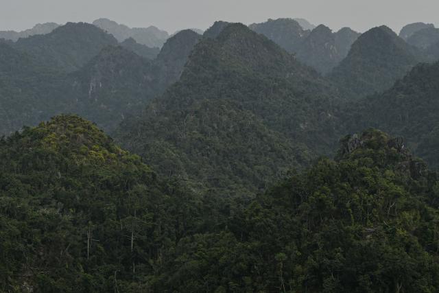 This picture shows a general view on limestone mountains as seen from an observation point near the Ngu Lam peak in Cat Ba national park on February 17, 2026. (Photo by Amaury PAUL / AFP)