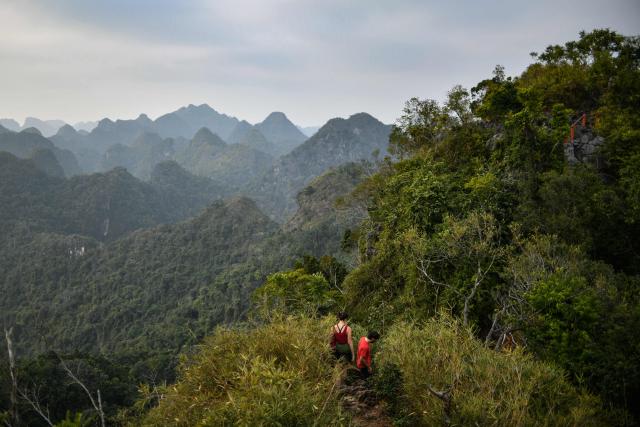 Tourists walk toward the Ngu Lam peak in Cat Ba national park on February 17, 2026. (Photo by Amaury PAUL / AFP)