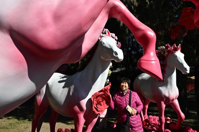 A woman visits a fair in a park on the second day of the Lunar New Year of the Horse in Beijing on February 18, 2026. (Photo by Pedro PARDO / AFP)