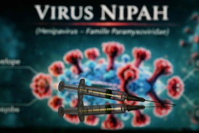 This illustration photograph shows screens displaying a representation of the NIPAH virus (Henipavirus nipahense), along with a syringe in Toulouse, southwestern France on February 18, 2026. Nipah virus is a zoonotic virus, usually transmitted from animals to humans, but can also be transmitted through contaminated food or directly between people. (Photo by Lionel BONAVENTURE / AFP)