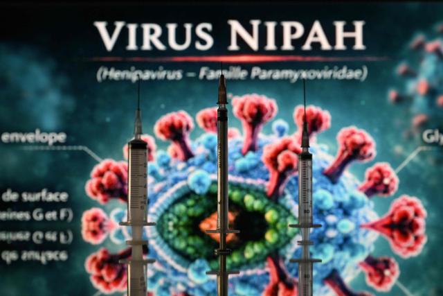 This illustration photograph shows screens displaying a representation of the NIPAH virus (Henipavirus nipahense), along with syringes in Toulouse, southwestern France on February 18, 2026. Nipah virus is a zoonotic virus, usually transmitted from animals to humans, but can also be transmitted through contaminated food or directly between people. (Photo by Lionel BONAVENTURE / AFP)