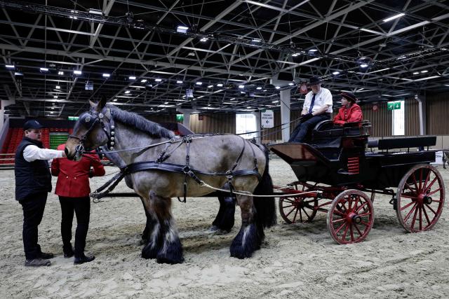 People drive a team of Trait du Nord horses before the opening of the 2026 edition of the International Agricultural Show (Salon de l'Agriculture) at Paris Expo Porte de Versailles in Paris on February 20, 2026. Cattle breed selection organisations decided not to enter any cattle in the general agricultural competition at this show and refused to allow any cows to be present, including Biguine, due to the lumpy skin epizootic disease (dermatose nodulaire contagieuse). (Photo by STEPHANE DE SAKUTIN / AFP)