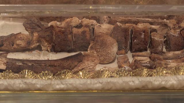 This video grab taken from an AFP shooting shows the remains of St. Francis of Assisi on display in a glass case inside the Basilica of St. Francis of Assisi during a press preview, in Assisi on February 21, 2026. The exposition to the public of the remains will begin on February 22 to mark the 800th anniversary of his death in 1226. (Photo by Giovanni GREZZI / AFP)