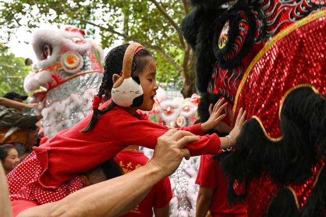 People interact with lion dancers during celebrations marking the Lunar New Year of the Horse in Melbourne on February 22, 2026. (Photo by William WEST / AFP)
