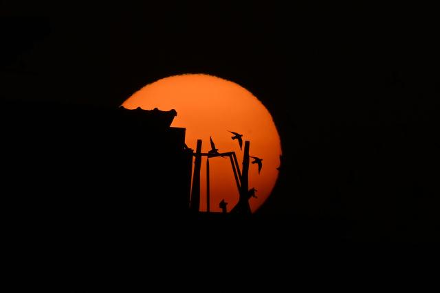 Pigeons fly as the sun rises over Kuwait City on February 22, 2026. (Photo by Yasser Al-Zayyat / AFP)