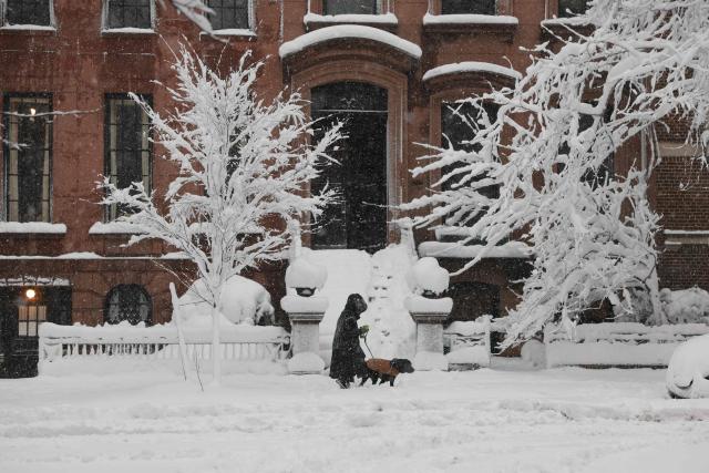 A person walks through a snow covered street during a winter storm in the Brooklyn borough of New York City on February 23, 2026. New York ordered drivers off the road and shut down schools on Monday, while residents hunkered down for a massive snowstorm hitting the United States northeast. The National Weather Service (NWS) said in a post on X that "heavy snow is still falling" at 5:28 am local time (1028 GMT) on Monday adding that a the total snowfall stands at 14.9 inches. (Photo by ANGELA WEISS / AFP)