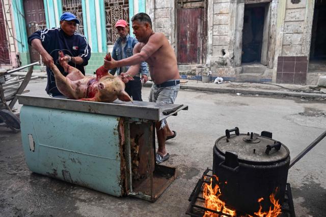 EDITORS NOTE: Graphic content / Two men carry a slaughtered pig before butchering it on a street in Havana on February 23, 2026. (Photo by YAMIL LAGE / AFP)