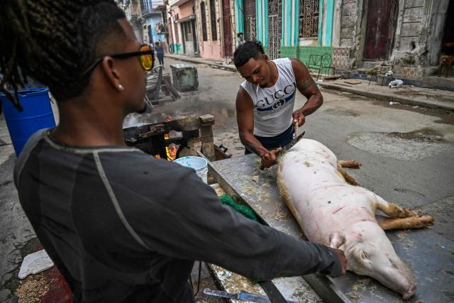 EDITORS NOTE: Graphic content / A man scrapes the hair off a slaughtered pig before cutting it up on a street in Havana on February 23, 2026. (Photo by YAMIL LAGE / AFP)