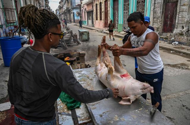 EDITORS NOTE: Graphic content / A man holds a slaughtered pig before cutting it up on a street in Havana on February 23, 2026. (Photo by YAMIL LAGE / AFP)