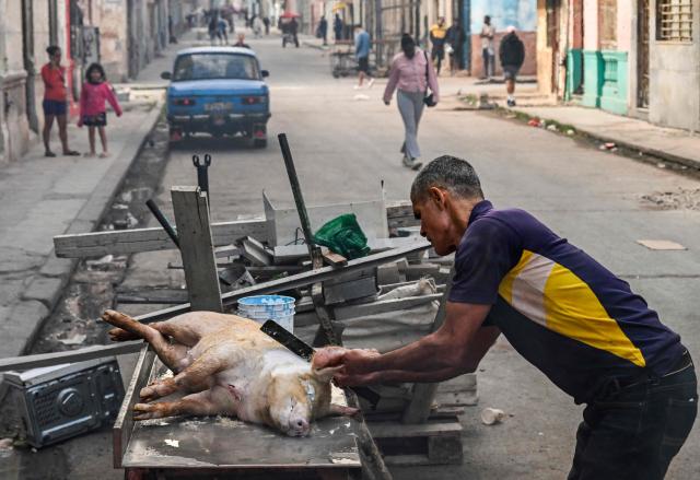 EDITORS NOTE: Graphic content / A man scrapes the hair off a slaughtered pig before cutting it up on a street in Havana on February 23, 2026. (Photo by YAMIL LAGE / AFP)