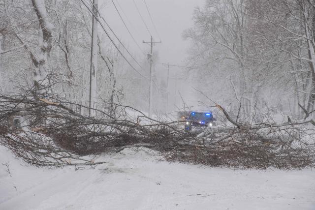 Trees block the road in Scituate, Massachusetts on February 23, 2026. Tens of millions of Americans from the US capital Washington to the northern state of Maine prepared for up to two feet (60 centimeters) of snow forecast in some areas. The National Weather Service (NWS) said blizzard conditions would "quickly materialize" from Maryland up to southeastern New England, making travel "extremely treacherous." (Photo by Joseph Prezioso / AFP)