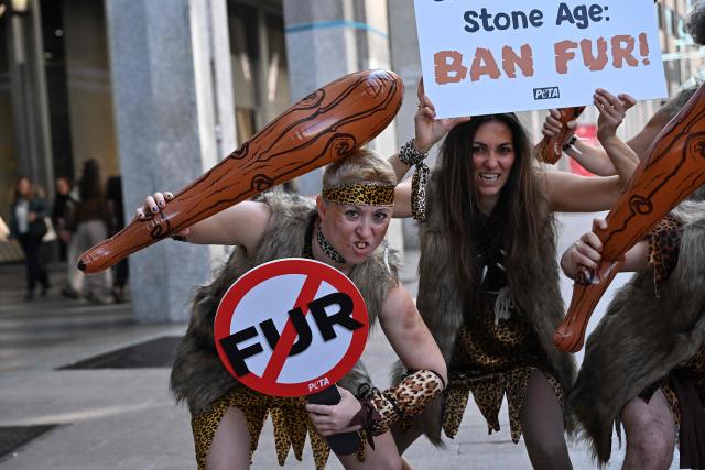 A group of PETA (People for the Ethical Treatment of Animals) activists dressed as "Cavemen" armed with clubs and wrapped in fake fur, protested in a flashmob, "Fur Belongs to the Stone Age!" during the opening of Milan Fashion Week , Womens collection Fall-Winter 2026-2027, in central Milan on February 24, 2025. PETA demonstrated on the opening day of Milan Fashion Week to send the message that wearing the skins of tortured animals is decidedly prehistoric and to urge the National Chamber of Italian Fashion, the organizer of Milan Fashion Week, to follow the example of the London and New York fashion weeks by banning fur from its runways. (Photo by Andreas SOLARO / AFP)
