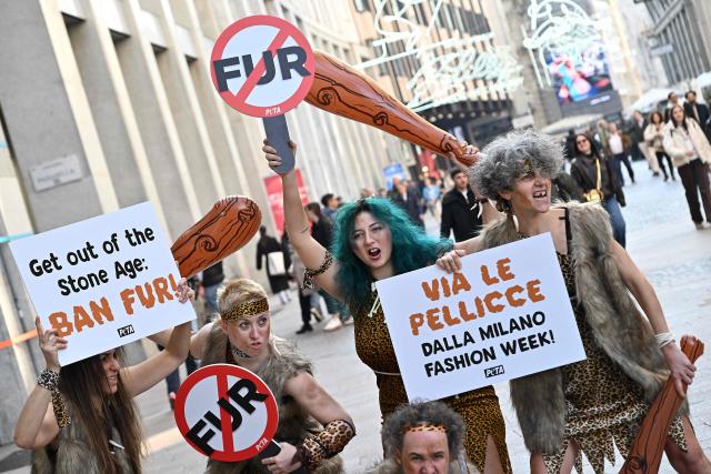 A group of PETA (People for the Ethical Treatment of Animals) activists dressed as "Cavemen" armed with clubs and wrapped in fake fur, protested in a flashmob, "Fur Belongs to the Stone Age!" during the opening of Milan Fashion Week , Womens collection Fall-Winter 2026-2027, in central Milan on February 24, 2025. PETA demonstrated on the opening day of Milan Fashion Week to send the message that wearing the skins of tortured animals is decidedly prehistoric and to urge the National Chamber of Italian Fashion, the organizer of Milan Fashion Week, to follow the example of the London and New York fashion weeks by banning fur from its runways. (Photo by Andreas SOLARO / AFP)
