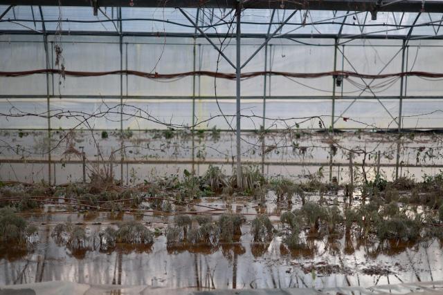 This photograph shows vegetables, destroyed by flooding in Baurech southwestern France, on February 24, 2026. National weather service Meteo-France said on February 18, 2026 the country was experiencing its longest series of rainy days since measurements began in 1959, breaking the 2023 record. Four departments in western France were placed under red alert over the risk of flooding, with officials expecting the situation to worsen with the arrival of Storm Pedro, which is poised to batter swathes of western Europe (Photo by ROMAIN PERROCHEAU / AFP)