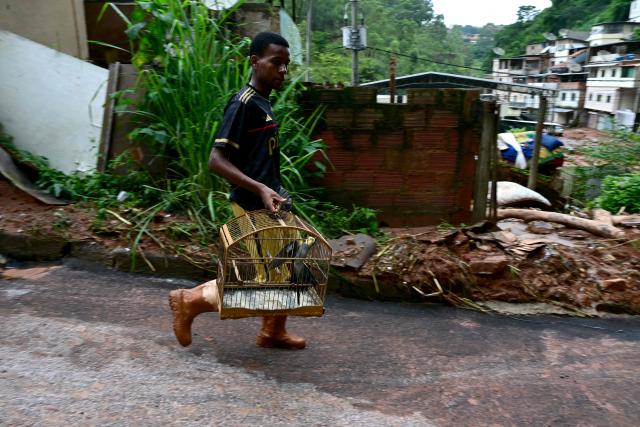 A resident carries a cage with birds after flooding and landslides in the Tres Moinhos neighborhood in Juiz de Fora, Minas Gerais state, Brazil, on February 26, 2026. Despair hung over two cities in southeastern Brazil on February 25 as rescuers and residents searched for 21 people missing after torrential rains unleashed flooding and landslides that killed at least 46. (Photo by Pablo PORCIUNCULA / AFP)