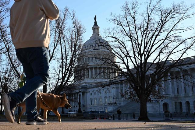A man walks his dog near the US Capitol in Washington, DC, on February 27, 2026. (Photo by Alex WROBLEWSKI / AFP)