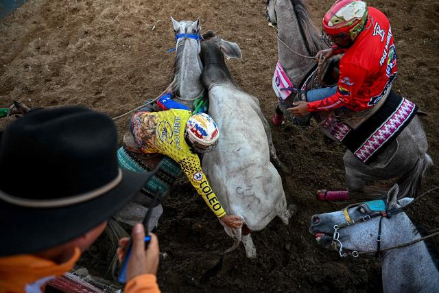 A cowboy tries to grab a bull's tail during a bull tailing competition held as part of the "Fiestas del Alma Llanera" celebration in San Fernando de Apure, Apure State, Venezuela, on February 27, 2026. Bull tailing is very popular in the plains of Venezuela. It is a professional discipline throughout the country and attracts thousands of spectators, but it also faces harsh criticism for animal mistreatment from activists and outsiders. (Photo by Federico PARRA / AFP)