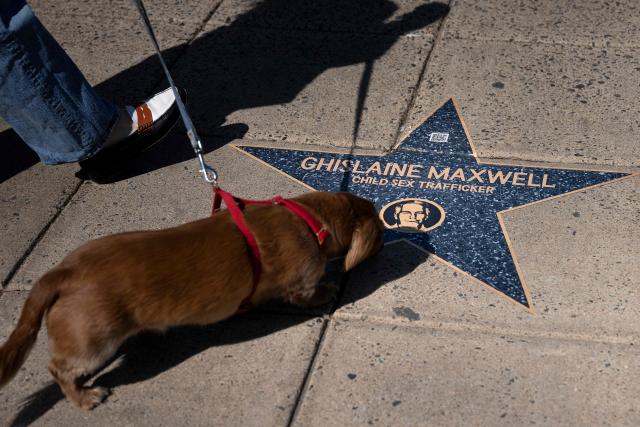 A person and a dog walk past a star with the name of Ghislaine Maxwell, an accomplice of convicted sex offender Jeffrey Epstein, along the "Jeffrey Epstein Walk of Shame," which features prominent names that appear in the Epstein files, near the White House on March 1, 2026, in Washington, DC. (Photo by Brendan Smialowski / AFP)