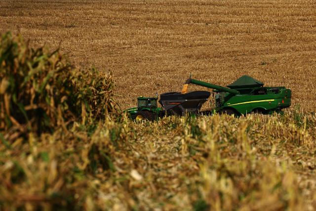 A combine harvester harvests corn in Coxilha, Rio Grande do Sul state, Brazil on March 2, 2026. (Photo by Silvio AVILA / AFP)