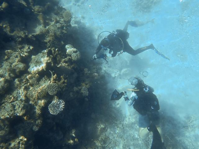 Aline Tribollet, research director at the French National Research Institute for Sustainable Development (IRD), and Sophie Bureau, assistant engineer in Ecology at the University of La Réunion, collect samples from a coral reef dammaged by Cyclone Chido in the northern part of Mayotte Lagoon, on the French Indian Ocean territory of Mayotte, on February 24, 2026. Cyclone Chido struck Mayotte in December 2024, adding to the effects of a heatwave that had already weakened the reefs earlier that year. Coral mortality ranges from 26 to 88 percent depending on the site, according to the Mayotte Marine Nature Park. (Photo by Marine GACHET / AFP)