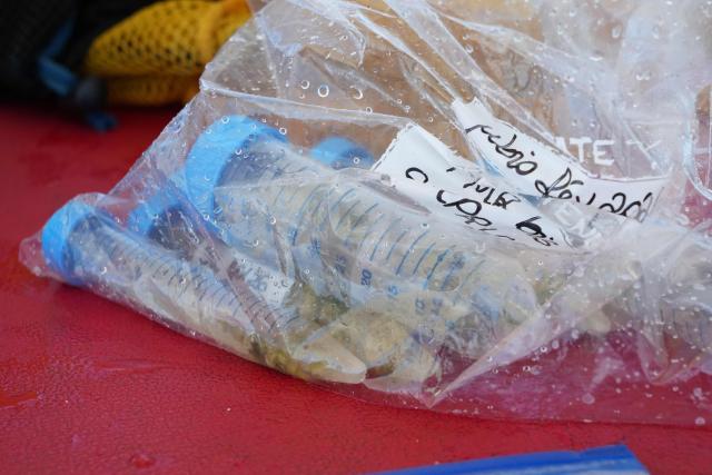 A photo shows samples collected in the northern part of Mayotte Lagoon, on the French Indian Ocean territory of Mayotte, on February 24, 2026. Cyclone Chido struck Mayotte in December 2024, adding to the effects of a heatwave that had already weakened the reefs earlier that year. Coral mortality ranges from 26 to 88 percent depending on the site, according to the Mayotte Marine Nature Park. (Photo by Marine GACHET / AFP)