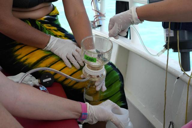 Scientists collect a water sample in the northern part of Mayotte Lagoon on the French Indian Ocean territory of Mayotte, on February 24, 2026. Cyclone Chido struck Mayotte in December 2024, adding to the effects of a heatwave that had already weakened the reefs earlier that year. Coral mortality ranges from 26 to 88 percent depending on the site, according to the Mayotte Marine Nature Park. (Photo by Marine GACHET / AFP)