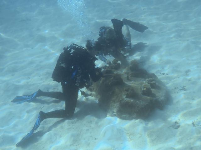 Aline Tribollet, research director at the French National Research Institute for Sustainable Development (IRD), and Sophie Bureau, assistant engineer in Ecology at the University of La Reunion, collect samples from coral cuttings in the northern part of Mayotte Lagoon, on the French Indian Ocean territory of Mayotte, on February 24, 2026. Cyclone Chido struck Mayotte in December 2024, adding to the effects of a heatwave that had already weakened the reefs earlier that year. Coral mortality ranges from 26 to 88 percent depending on the site, according to the Mayotte Marine Nature Park. (Photo by Marine GACHET / AFP)