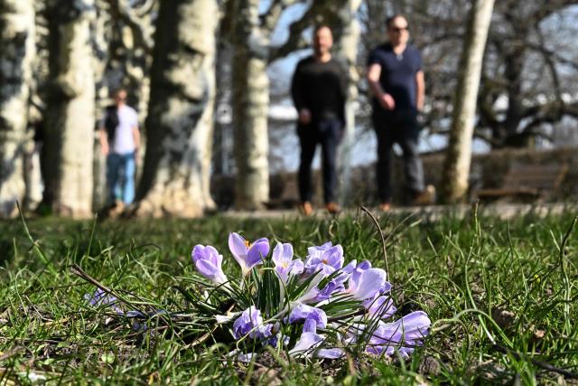 People walk along the banks of the Main river past blossoming flowers in Frankfurt am Main, western Germany, on March 4, 2026 as the air temperature reached 15 degrees Celsius above zero.. (Photo by Kirill KUDRYAVTSEV / AFP)